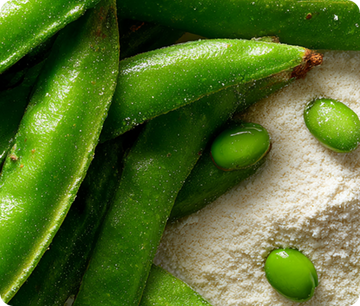Sunfiber® Guar Fiber